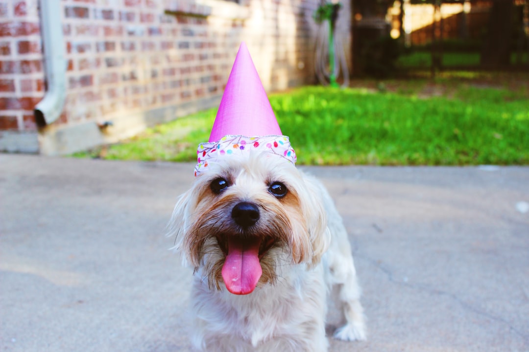Photo birthday